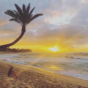 Meet your Posher, Jamel